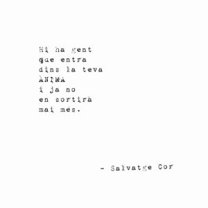收聽Salvatge Cor的Pel que Fa al <<la-la-la>> de [fer(-se)] l'indie歌詞歌曲