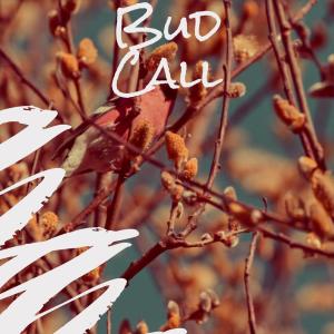 Listen to Frick Dad song with lyrics from Abdil Lautan