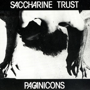 ดาวน์โหลดและฟังเพลง A Human Certainty พร้อมเนื้อเพลงจาก Saccharine Trust