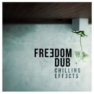 ดาวน์โหลดและฟังเพลง Changes พร้อมเนื้อเพลงจาก Freedom Dub