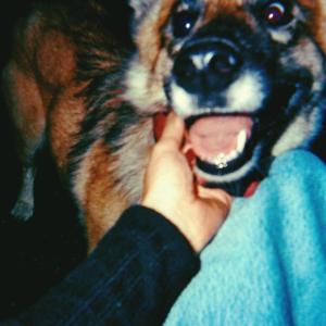 收聽Filu的Mehr als ich weiß (feat. helmuth)歌詞歌曲