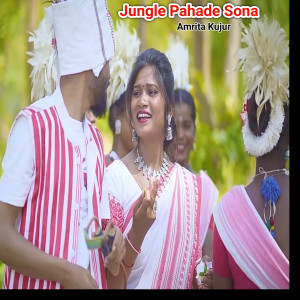 Album Jungle Pahade Sona from Amrita Kujur