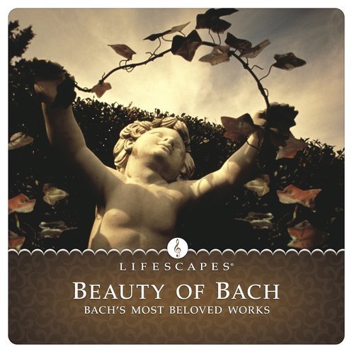 French Suite No. 5 in G major, BWV 816: III. Sarabande