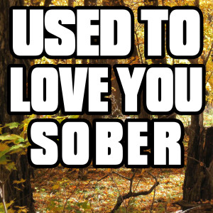 Album Used to Love You Sober from Big Hit Twisters