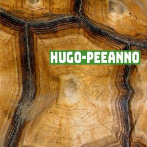 Hugo的專輯Peeanno