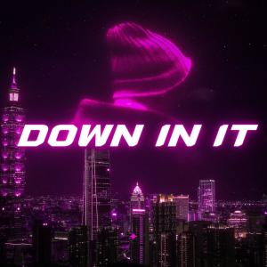 Farkas的專輯Down in it