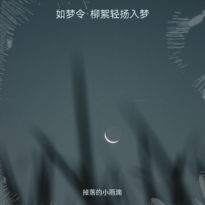 Listen to 如梦令·柳絮轻扬入梦 (完整版) song with lyrics from 掉落的小雨滴