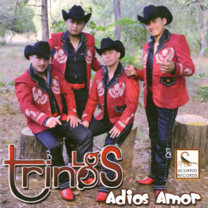 ดาวน์โหลดและฟังเพลง Adiós Amor พร้อมเนื้อเพลงจาก Los Trinos