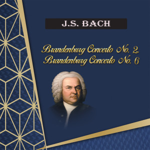 Karel Brazda的专辑J.S.Bach, Brandenburg Concerto No. 2, Brandenburg Concerto No. 6