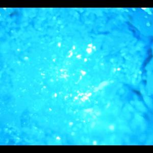 收聽Niita的Falling To The Sky歌詞歌曲