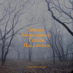 Halloween Masters的專輯Spooky Soundscapes: Terror Halloween
