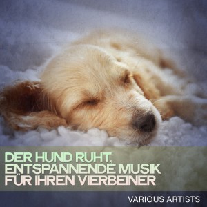 Various的专辑Der Hund Ruht, Entspannende Musik Für Ihren Vierbeiner