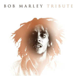 ดาวน์โหลดและฟังเพลง Buffalo Soldier (Tribute Version) พร้อมเนื้อเพลงจาก The Harmony Group