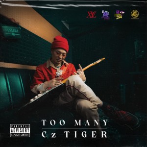 Album TOO MANY from CzTIGER