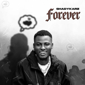Listen to Forever song with lyrics from ShadyKarz
