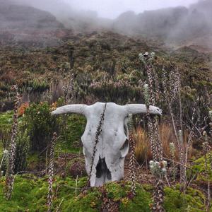 ดาวน์โหลดและฟังเพลง Surf Hat Ranch (feat. Surf Hat) (Burke Johnson Remix) พร้อมเนื้อเพลงจาก Burke Johnson