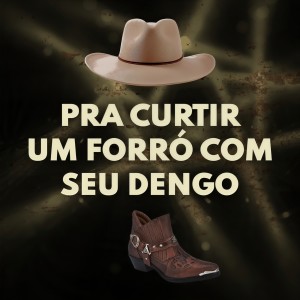 Various Artists的專輯Pra curtir um forró com seu dengo
