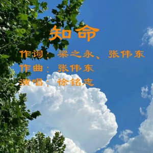 Listen to 知命 (伴奏) song with lyrics from 张伟东