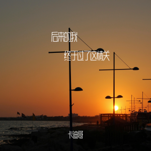 收听卡迪哥的后来的我终于过了这情关 (伴奏)歌词歌曲
