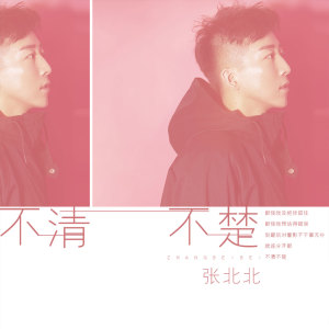 Listen to 不清不楚 (伴奏) song with lyrics from 张北北