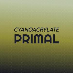 Various Artists的專輯Cyanoacrylate Primal