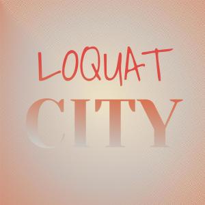 Dengarkan Blu Timbales lagu dari Camy Poki dengan lirik