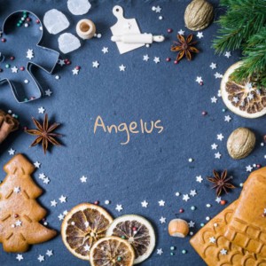Various的专辑Angelus