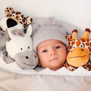 Listen to Brave song with lyrics from Canzoni Per Bambini Ninna Nanna