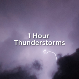 收听Thunderstorm Sound Bank的Rain for Dogs歌词歌曲