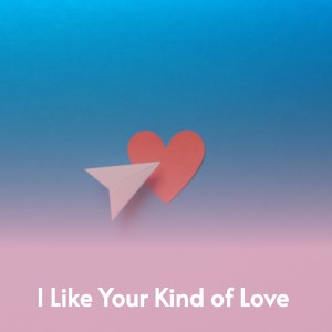 Dengarkan I Like Your Kind Of Love lagu dari Andy Williams dengan lirik