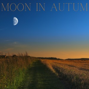 Listen to Moon In Autum (Deep Concentration Music Piano Edit) song with lyrics from Oscar Collin