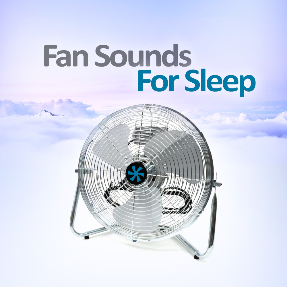 Air Circulator Rest Sound