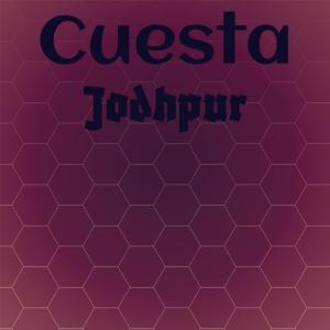 Listen to Cuesta Jodhpur song with lyrics from Paly Piter