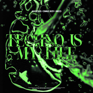 Album Techno Is My Life from Anxious