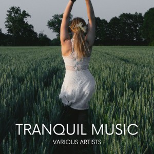 Various Artists的專輯Tranquil Music
