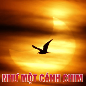 收聽Ngọc Tân的Sơn nữ ca歌詞歌曲