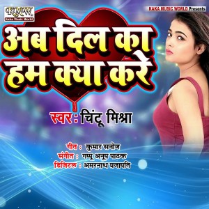 收听Chintu Mishra的Ab Dil Ka Ham Kya Kare歌词歌曲