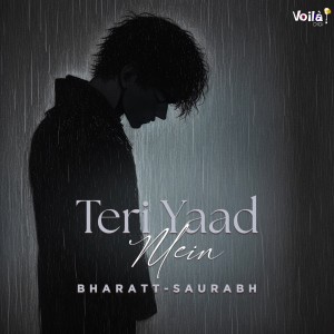 收聽Bharatt - Saurabh的Teri Yaad Mein歌詞歌曲