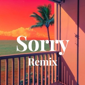收听Jutin Biber的Sorry - Remix歌词歌曲