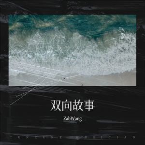收听王金水ZabWang的双向故事 (Demo)歌词歌曲
