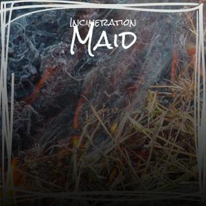 Various Artists的專輯Incineration Maid