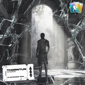 收聽Thorntun的No Brainer歌詞歌曲