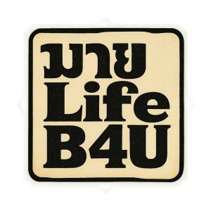 เด็กเลี้ยงควาย的专辑มายLifeB4U