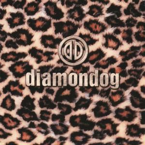Listen to Sometimes song with lyrics from Diamondog