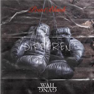 ดาวน์โหลดและฟังเพลง Different(feat. PointBlank) (Explicit) พร้อมเนื้อเพลงจาก WAH GVNG