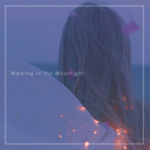 Album Walking in the Moonlight from 서교동의 밤