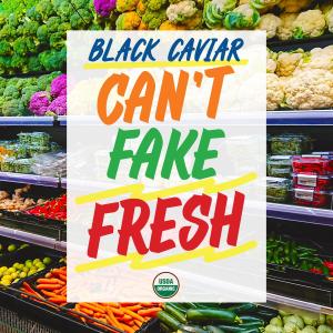 อัลบัม Can't Fake Fresh ศิลปิน Black Caviar
