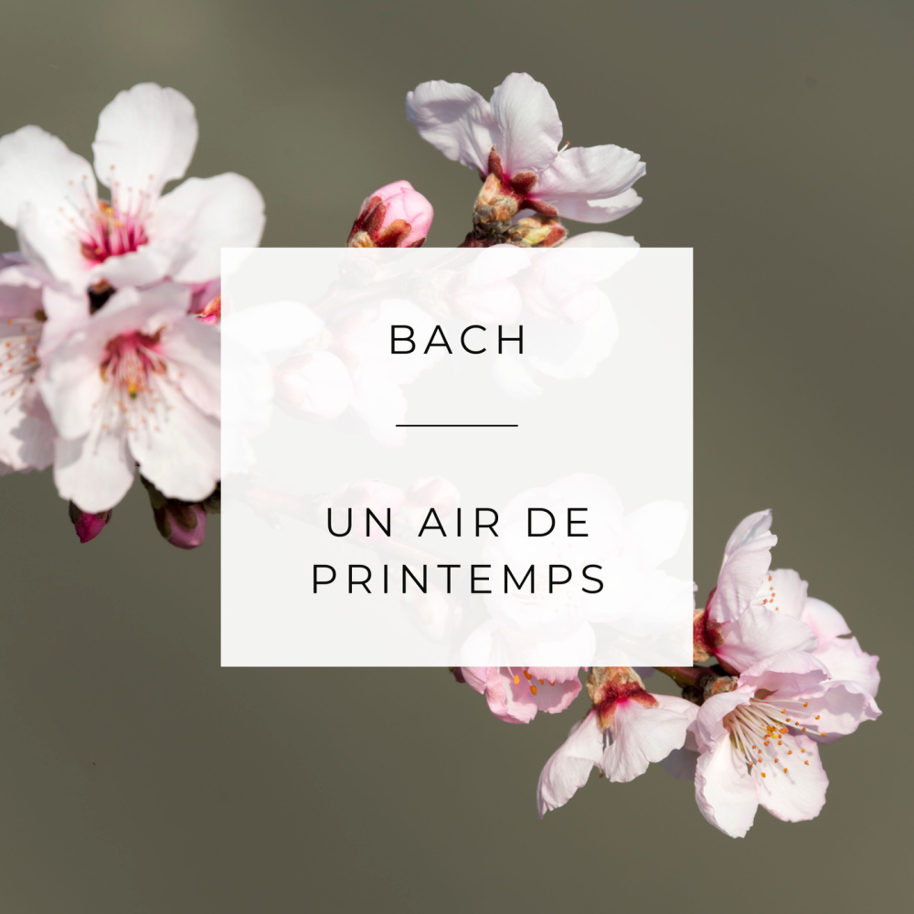 Bach: Un air de printemps