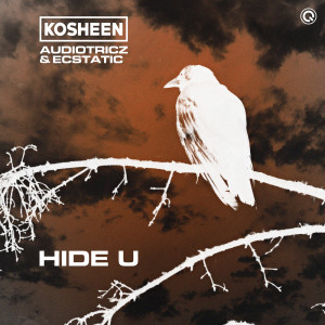 ดาวน์โหลดและฟังเพลง Hide U พร้อมเนื้อเพลงจาก Kosheen