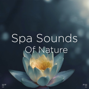 ดาวน์โหลดและฟังเพลง Asmr Water Stream พร้อมเนื้อเพลงจาก Sleep Sounds of Nature